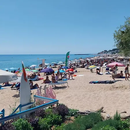 студио аглая *