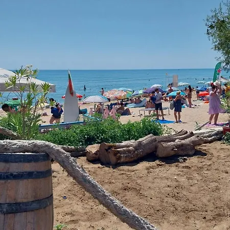 студио аглая