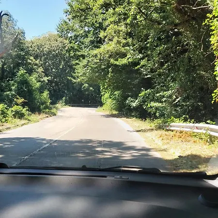 студио аглая דירה וארנה