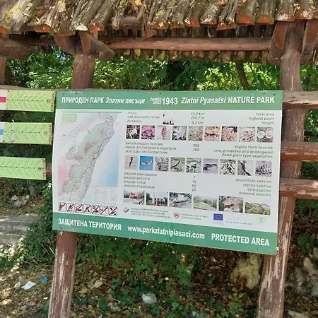 студио аглая וארנה